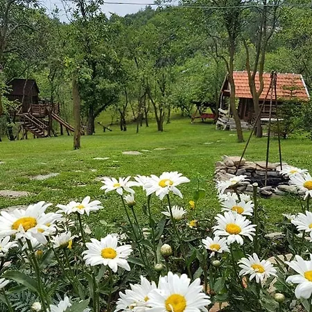 Tinutul Luanei Glamping