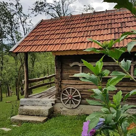 Tinutul Luanei Glamping Luxury tent Bozioru