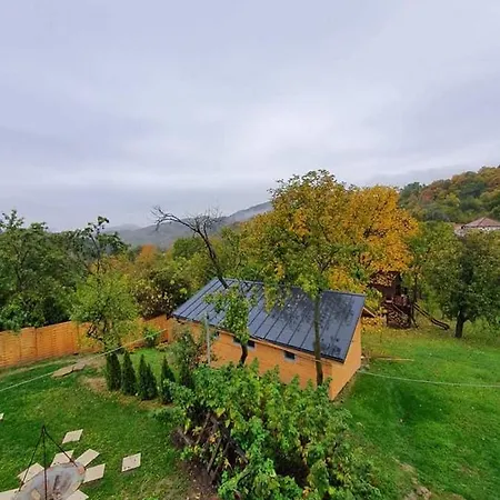 Tinutul Luanei Glamping Luxury tent