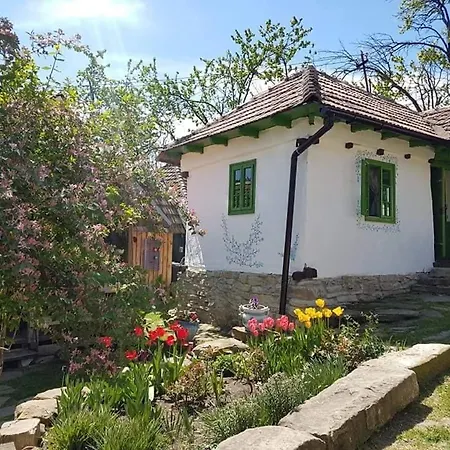 Tinutul Luanei Glamping