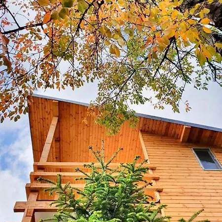 Tinutul Luanei Glamping Luxury tent *