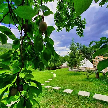 Tinutul Luanei Glamping